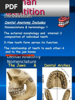 Download Dental Anatomy Intro 1 by emancipation1506 SN27630870 doc pdf