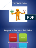 MATRIZ+DE+PEYEA Solucion