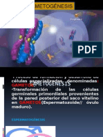 Clase Gametogenesis Medicina