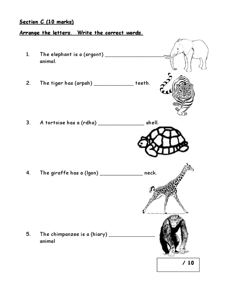 Section C (10 Marks) Arrange The Letters. Write The Correct Words | PDF ...