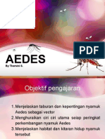 Morfologi Dan Pengenalan Nyamuk Aedes