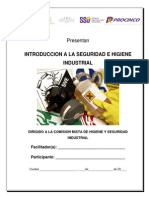 01 Introducción A La Seguridad e Higiene Industrial - Karol Ochoa
