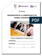 02 Organización de La Comisión Mixta de Higiene y Seguridad - Karol Ochoa PDF