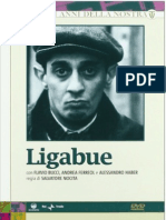 Ligabue (film)