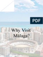 Why Visit Malaga