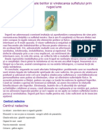 36784521-Cauzele-Subtile-Ale-Bolilor-Si-Vindecarea-Sufletului-Prin-Rugaciune.pdf