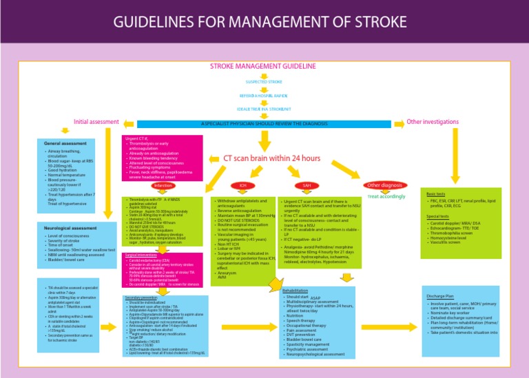 Guidelines For Management of Stroke | PDF | Stroke | Health Sciences