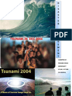 tsunamireport-120911125622-phpapp02