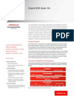 Oracle Soa Suite Ds 066430 PDF