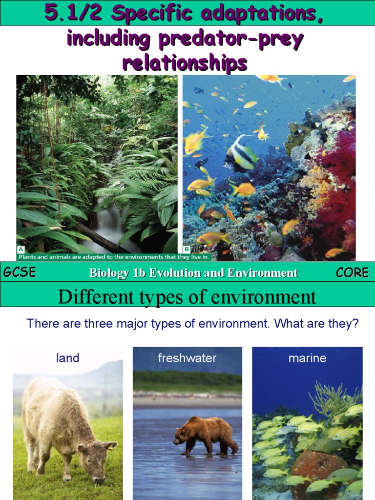 5.1 2 Specific Adaptations in Plants and Animals | PDF | Predation ...