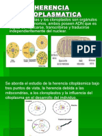 Herencia Citoplasmatica