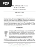 Download Moringa Tree Information by shrikant SN27653251 doc pdf