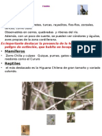 Trabajofinalrioclarillo FAUNA