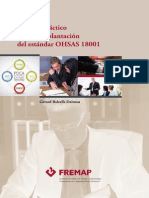 Manual Implantacion OHSAS 18001