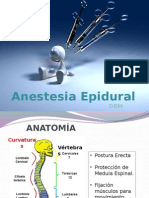 Anestesia Epidural