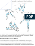 Human Anatomy Fundamentals: Muscles and Other Body Mass - Tuts+ Design & Illustration Article