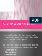 Calcificacion Del Hueso