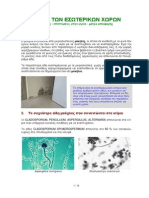 Kalyvas Mold in Buildings PDF