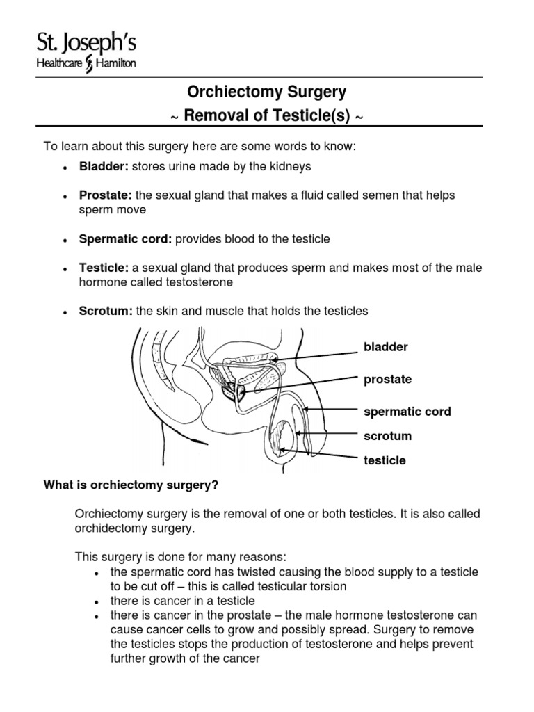 PD 6660 Orchiectomy Surgery Testicle Intravenous Therapy