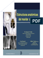 Anatomia Radiografica Superior