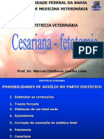 Cesariana. Fetotomia