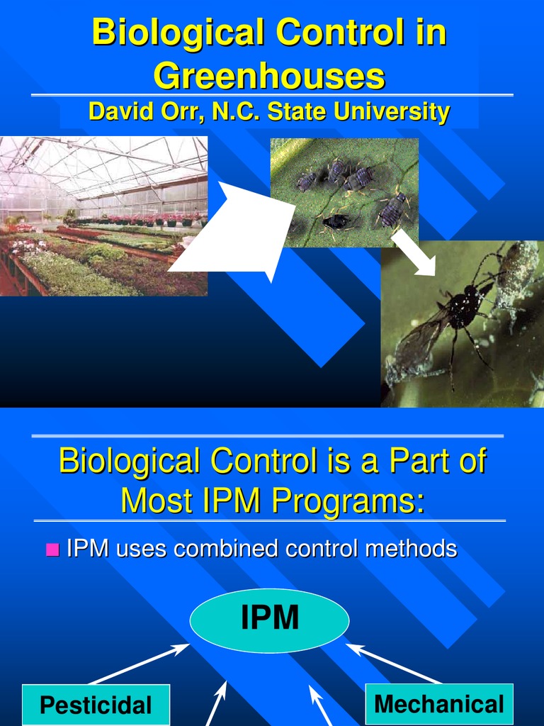 Biological Control Strategies in Greenhouses | PDF | Biological Pest ...