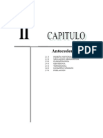 Capítulo II - Antecedentes