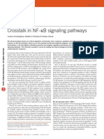 Crosstalk in NF-κB Signaling Pathways