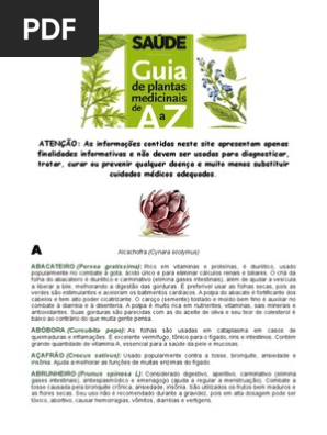 Guia De Plantas Medicinais De A A Z Cravo Vitamina