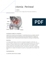 Prostatectomía Perineal