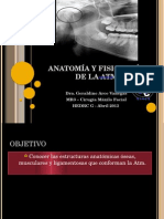 Anatomia y Fisiologia de La Atm