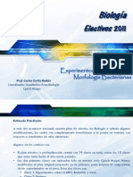 BL11-01 Experimentos Sobre El ADN. Morfología Bacteriana