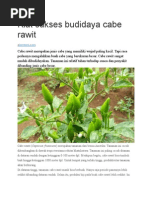 Download Kiat Sukses Budidaya Cabe Rawit by Fitry Lim SN276771565 doc pdf