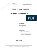 Producción de Lechuga Hidropónica PDF