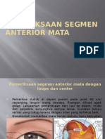 Segmen Anterior Posterior Mata