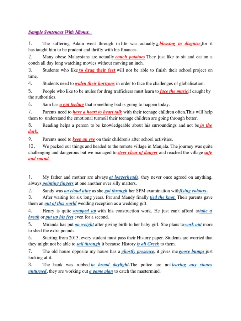 Sample Sentences with Idioms | PDF