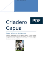 Criadero Di Capua-Kali