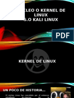 Nucleo o Kernel de Linux