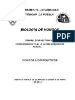 Hongos Ligninolíticos