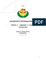 Incidentes Internacionales de Riesgo Ambiental