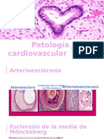 Patología Cardiovascular