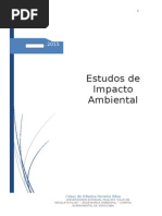 Estudos de Impacto Ambiental