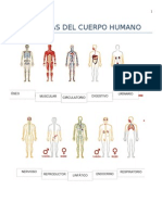 Material Complementario Sistemas Del Cuerpo