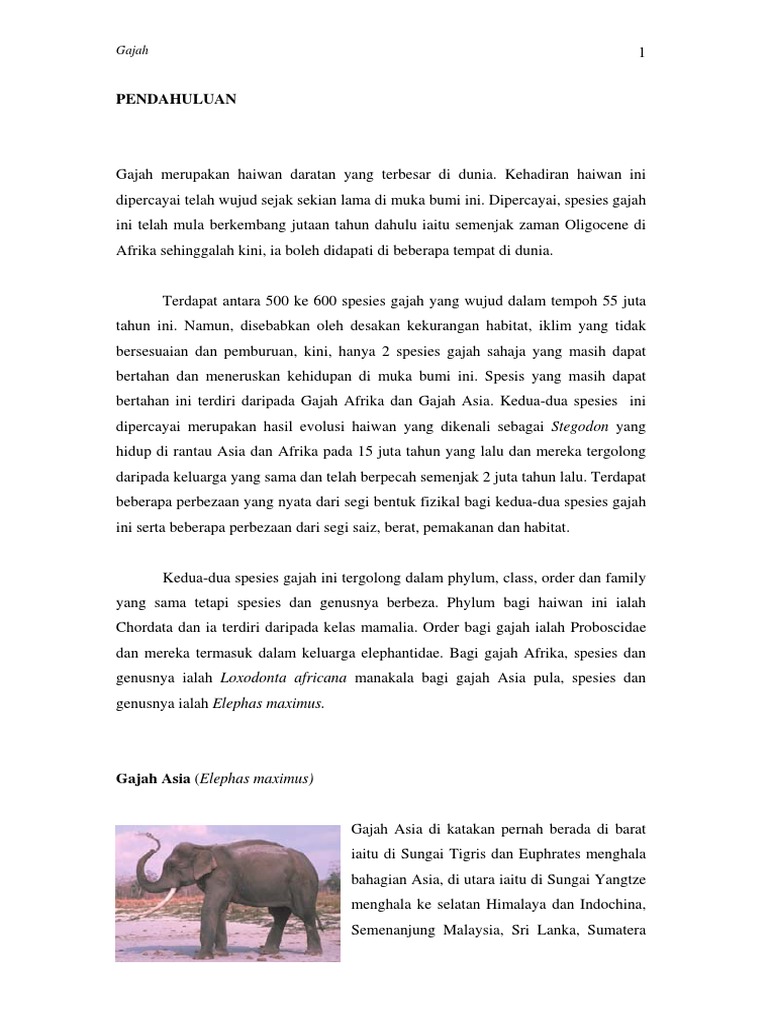 Gajahku Pdf