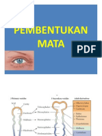 Pembentukan Mata