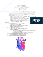 Tetralogy of Fallot