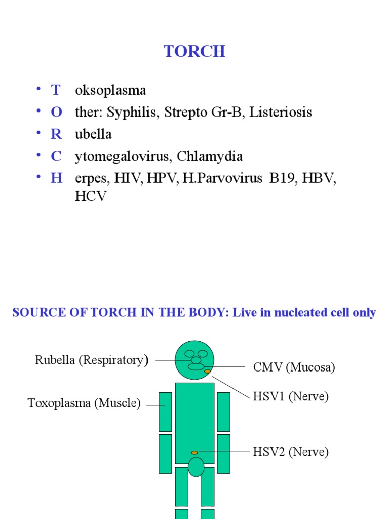 Torch Immune System Infection
