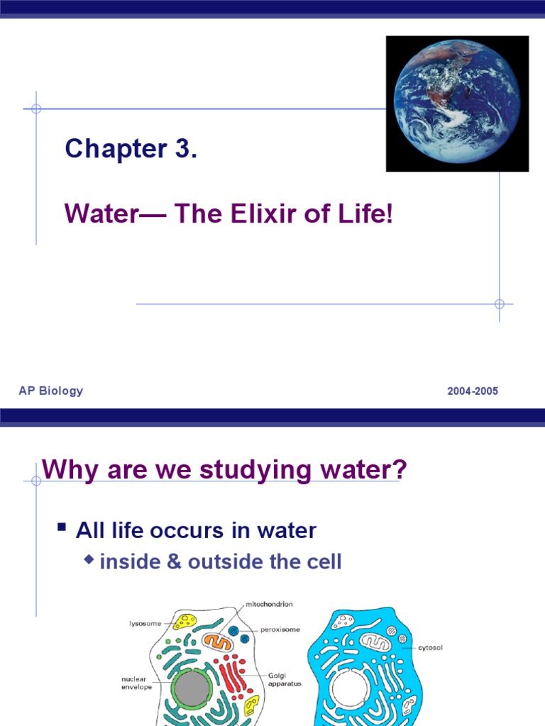 water the elixir of life essay