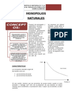 Monopolio Natural Resumen Economia