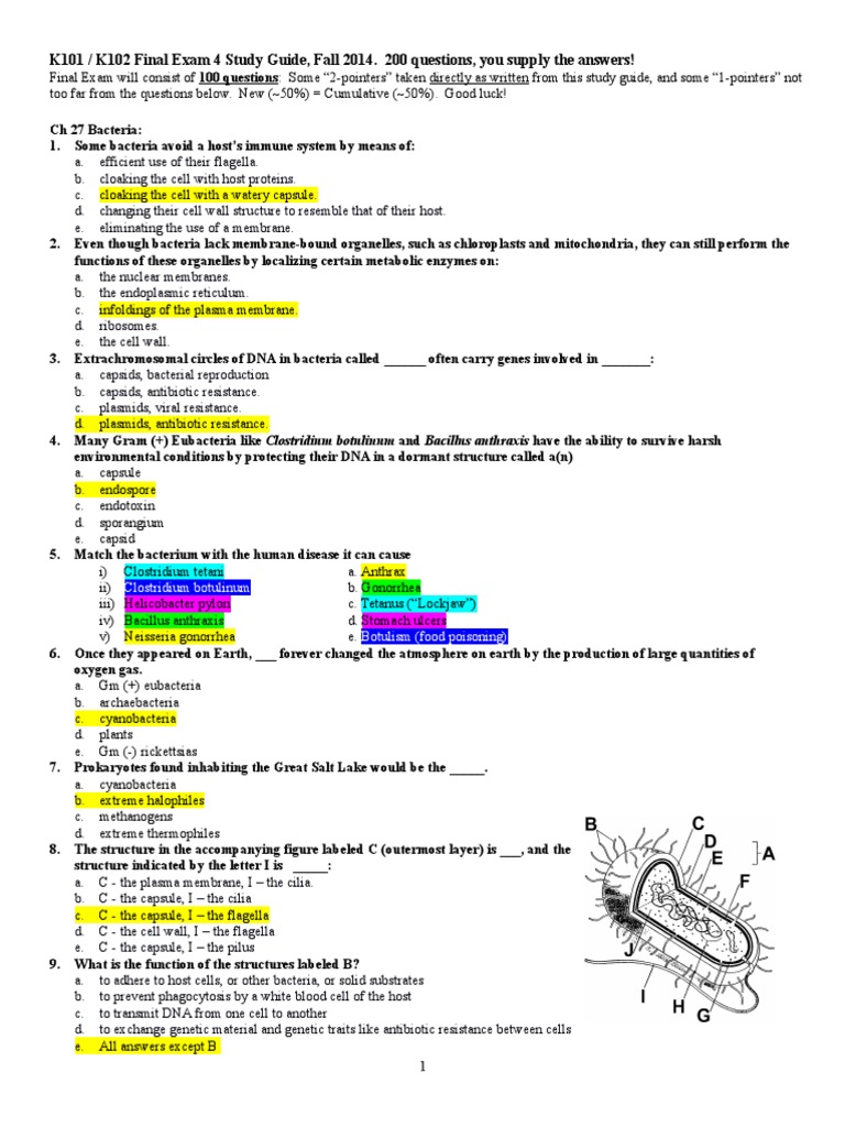 Microbiology Final Exam Study Guide | PDF | Plant Hormone | Cellular ...